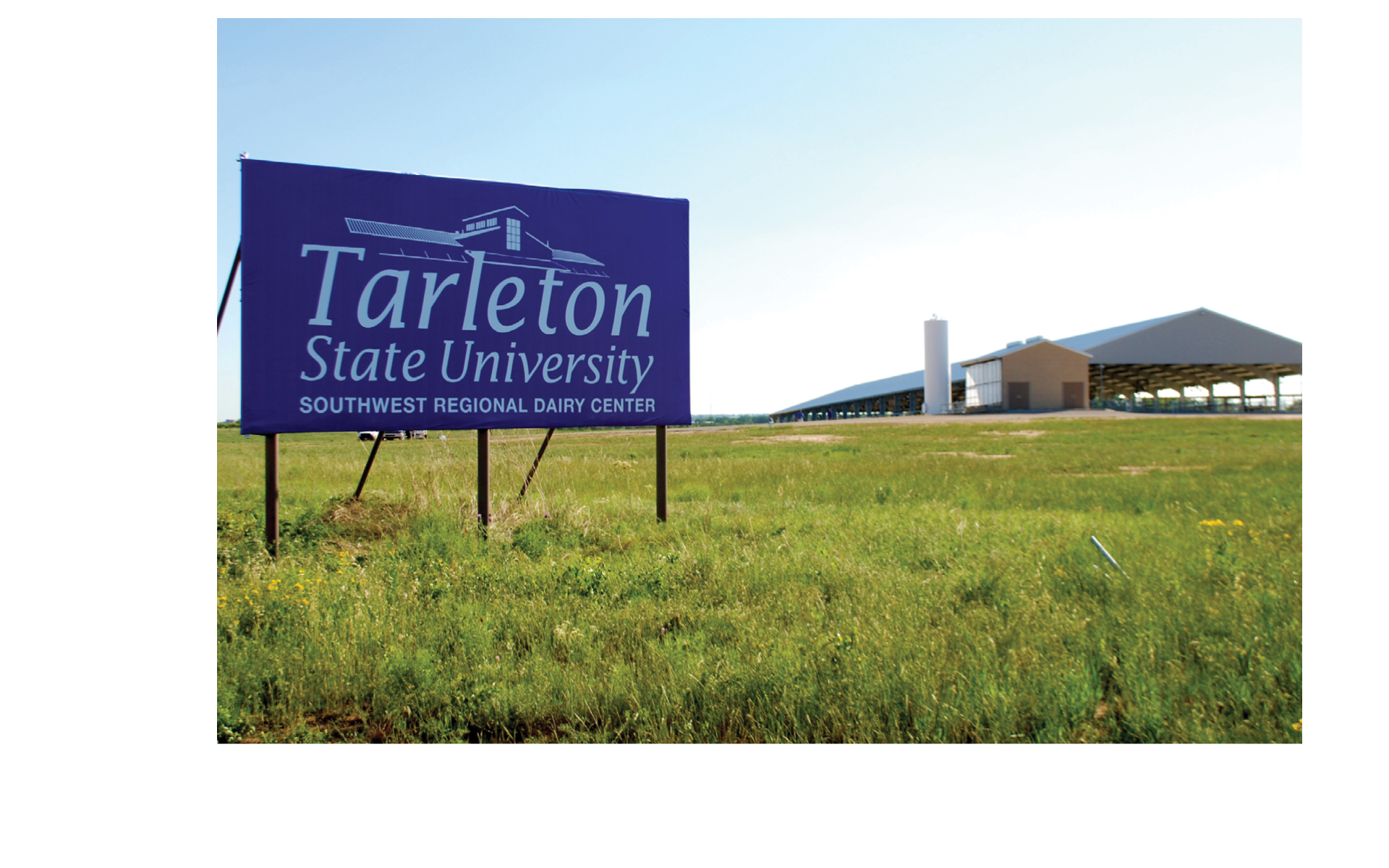 TARLETON DAIRY LOGO