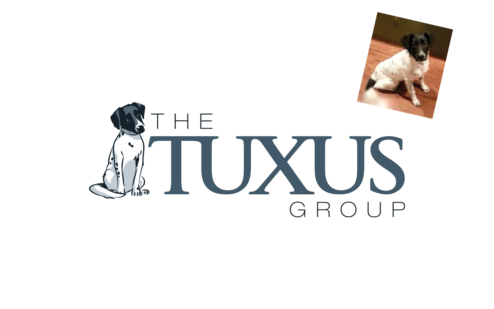 THE TUXUS GROUP